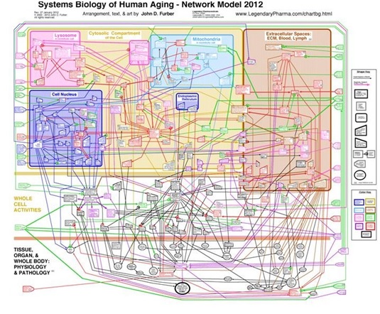 Systèm biology