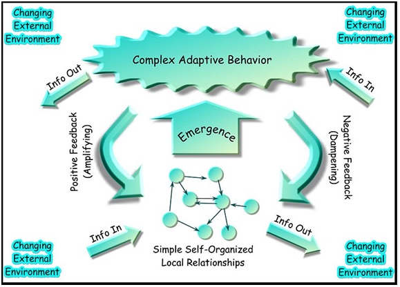 Complex_adaptative_systems